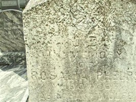 Rosalia Phelps Wolfe Rosalia Phelps Wolfe