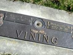 Rosalind M Vining