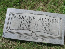 Rosaline Alcorn Rosaline Alcorn