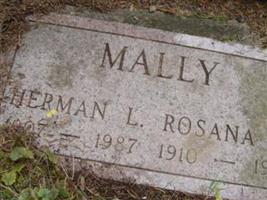 Rosana E. Mally