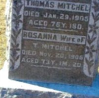 Rosanna Mitchel