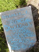 Rosannah F Moul Wilson