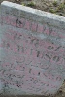 Rosannah F Moul Wilson