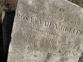 Rosannah N. Moore Gulledge