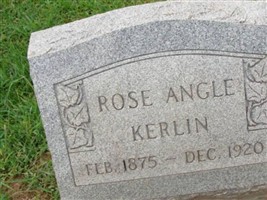 Rose Angle Kerlin Rose Angle Kerlin
