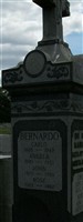 Rose Bernardo