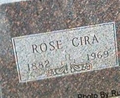 Rose Cira Rose Cira
