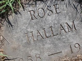 Rose Hallam