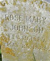 Rose Mary Johnson