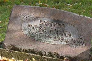 Rose Picha