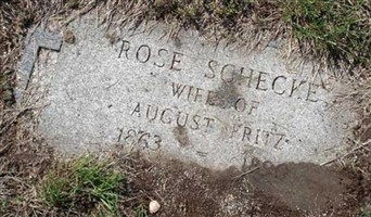 Rose Schecke Fritz Rose Schecke Fritz