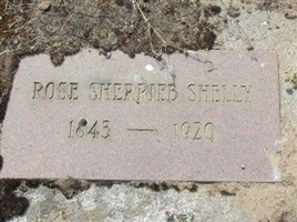 Rose Sherrieb Shelly Rose Sherrieb Shelly