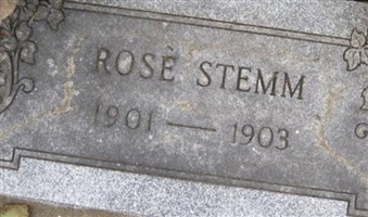 Rose Stemm