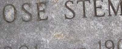 Rose Stemm