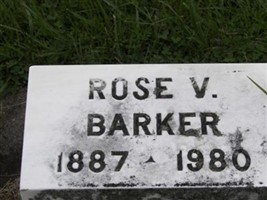 Rose V Barker