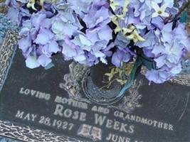Rose Weeks Rose Weeks