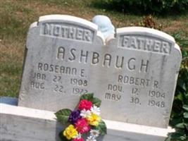 Roseann Elizabeth Fleming Ashbaugh