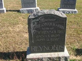 Roseannah Marion Matthews Reynolds