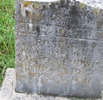Rosemary Ludwick Rosemary Ludwick