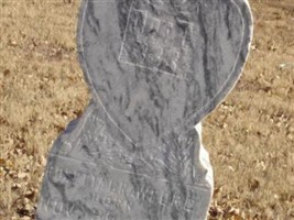 Rosetta Crawford