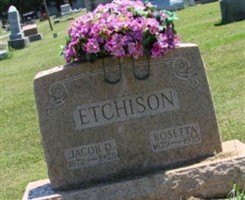 Rosetta Etchison