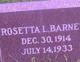 Rosetta L Barnett Rosetta L Barnett