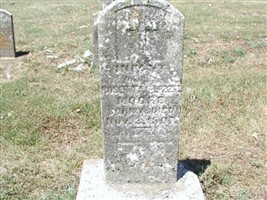 Rosetta Lizzie Moore
