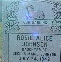 Rosie Alice Johnson