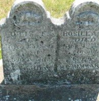 Rosilla F Hammar