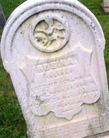 Rosina Ackerman