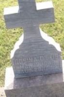 Rosina Denner Ottis