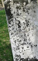 Rossana Seigel Rossana Seigel