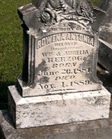 Rowena Antonia Herzog