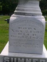 Rowena Rathbone Sumner Rowena Rathbone Sumner