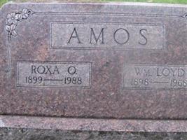 Roxa Olive Brown Amos