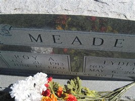 Roy Alexander Meade