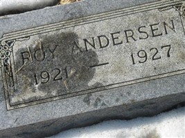 Roy Andersen Roy Andersen