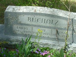 Roy Bucholz