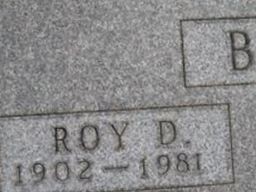 Roy D Bail
