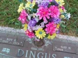 Roy E Dingus