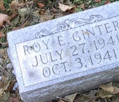 Roy E. Ginter