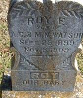 Roy E Watson