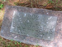 Roy Edwin Roberts (2468330.jpg)