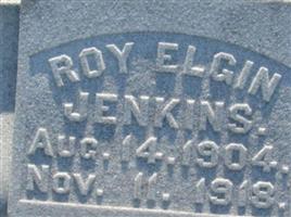Roy Elgin Jenkins