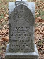 Roy F. McSorley