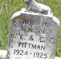 Roy H Pittman