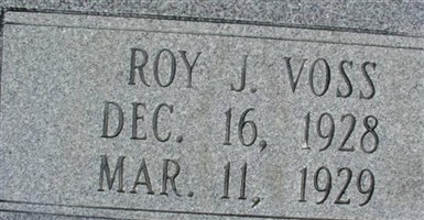 Roy J Voss