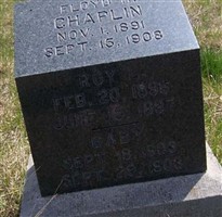 Roy L. Chaplin