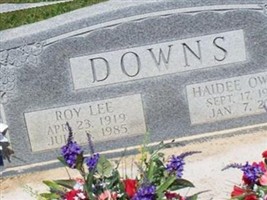Roy Lee Downs