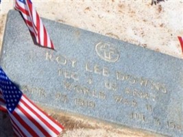 Roy Lee Downs